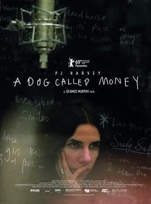 Medium_a_dog_called_money
